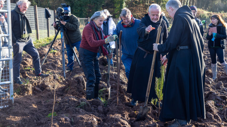 A new forest is born at Glenstal Abbey