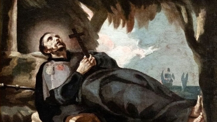 Francis Xavier: a saint in a hurry