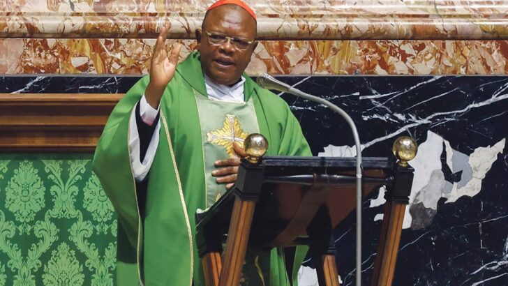 On the ‘Cobra Effect’ and Congo’s Ambongo as an emerging papal candidate