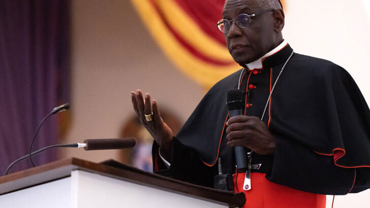 African cardinal says Western prelates have lost their nerve