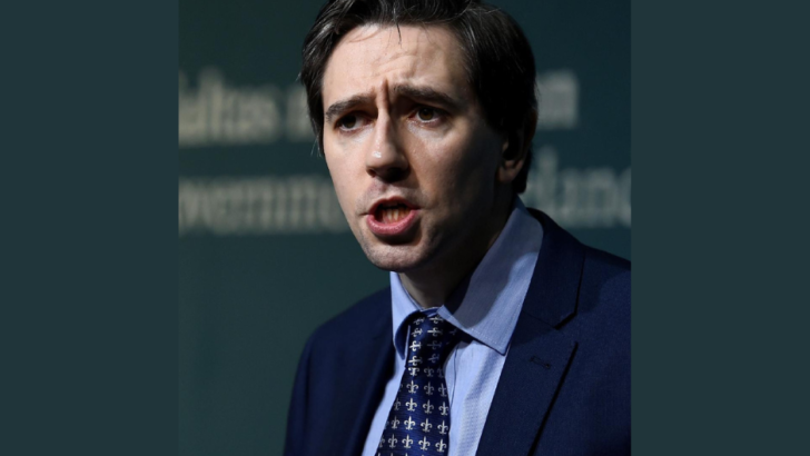 Simon Harris, the ghost of Leo Varadkar and a party in its death throes