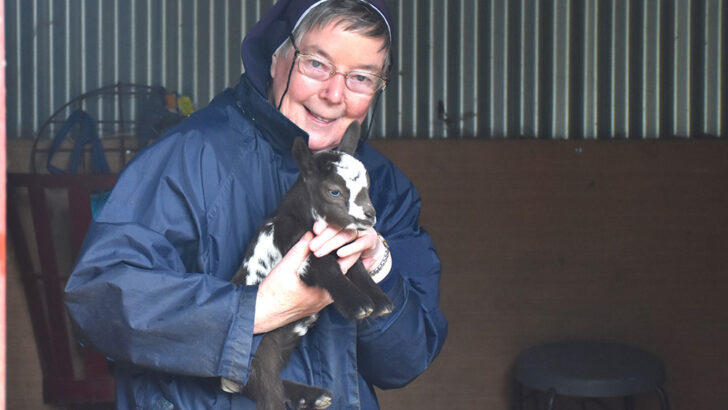 Nursing home does not kid about ‘healing power of animals’