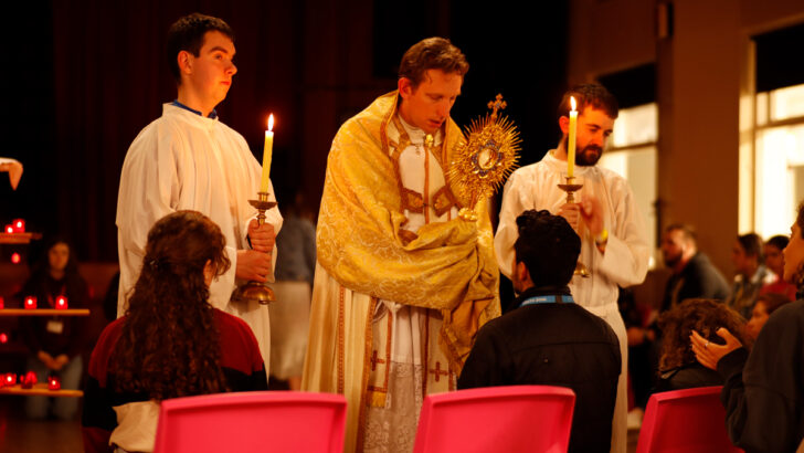 Being Catholic and young: youth life in the Church