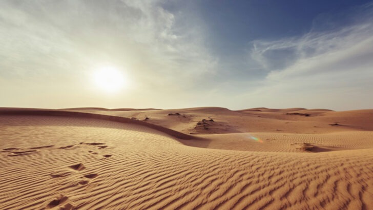 Into the desert with St Anthony of Egypt