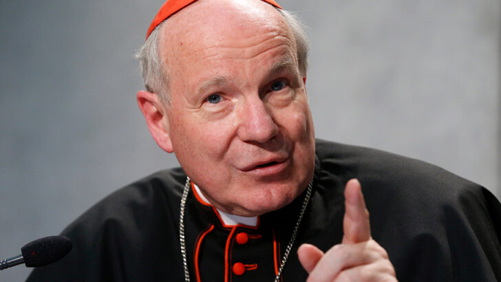 Cardinal Schönborn: ‘We must accept the decline of Europe’